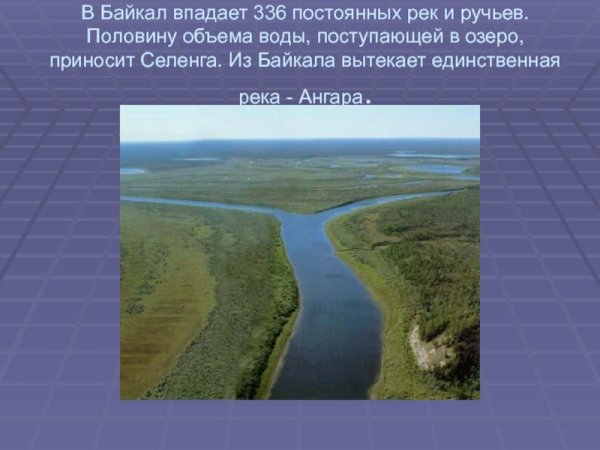 В Байкал впадает 336 рек