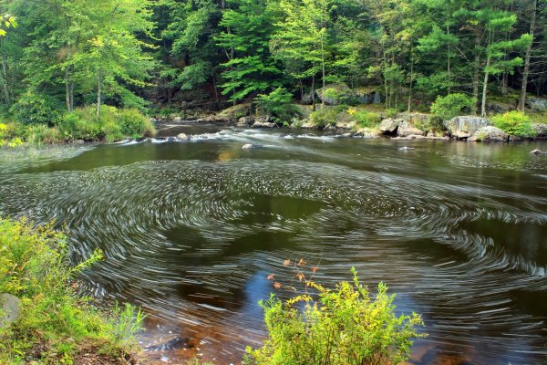 Лесной ручей пруд заводь парк
