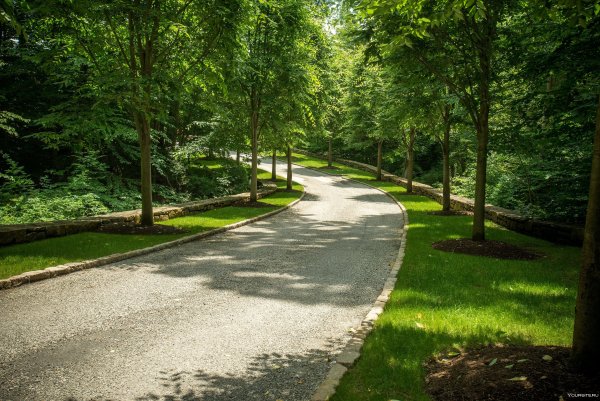 Парк Сокольники тропинки дорожки