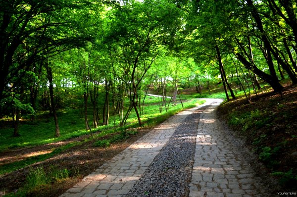 Нальчик тропинки парка