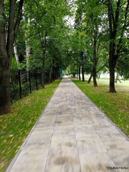 Дорожки и тропинки в Святогорский парке