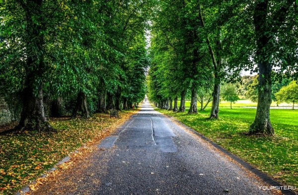 Дорога в парке