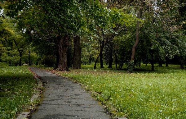 Парк Полянка Москва