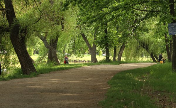 Парковая зона Державинская Всеволожск