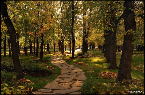 Аллея Москва парк