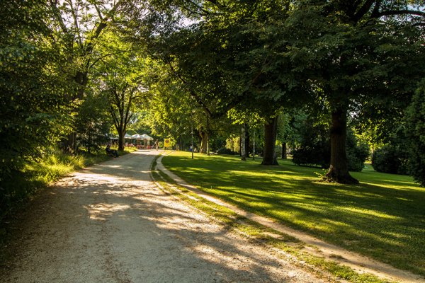Парк Швейцария деревья