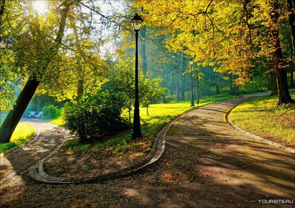 Парк дорожка