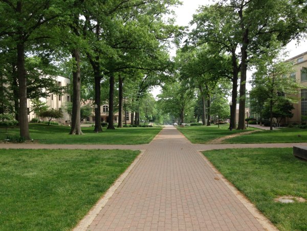 Парковые дорожки