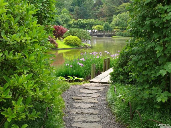 Парковые дорожки