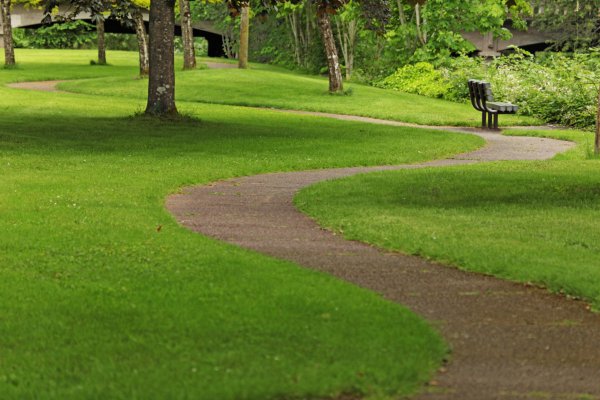 Дорожка в парке