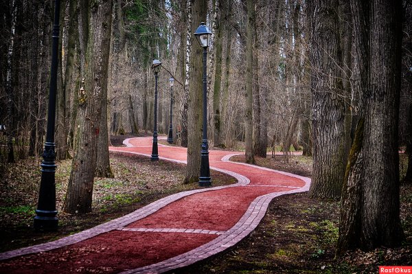 Парк Царицыно тропинки
