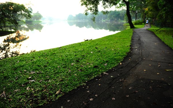 Асфальт в парке