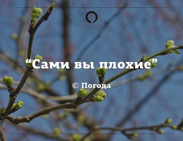 Сами вы плохие погода картинка