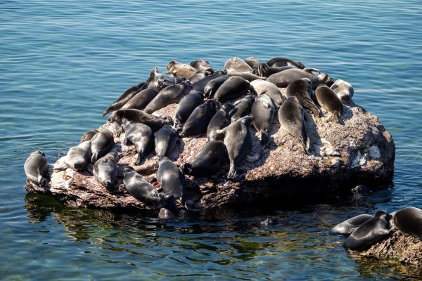 Озеро Байкал Ушканьи острова