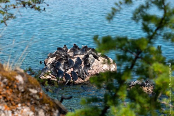 Архипелаг Ушканьи острова