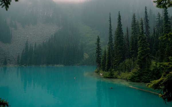 Туманное озеро