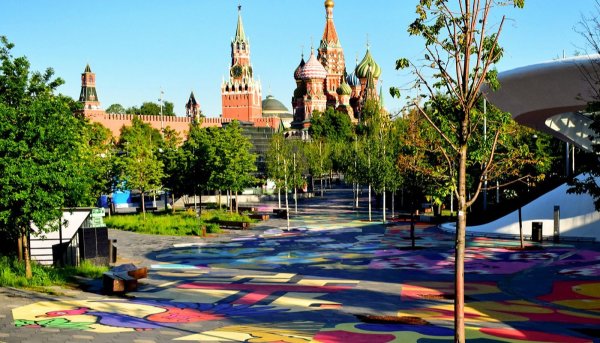 Парк Зарядье люпины