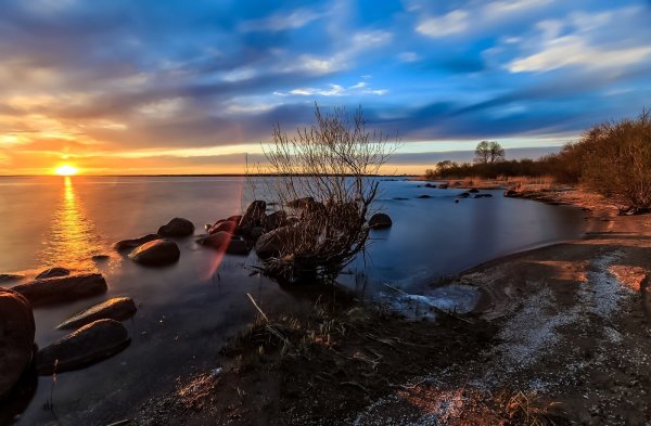 Берег Чудского озера