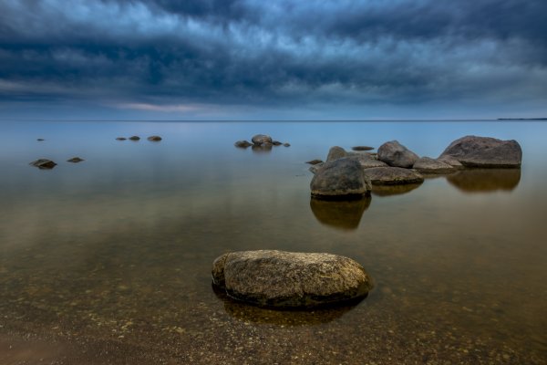 Берег Чудского озера