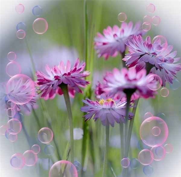 Прекрасного настроения в дождливое утро