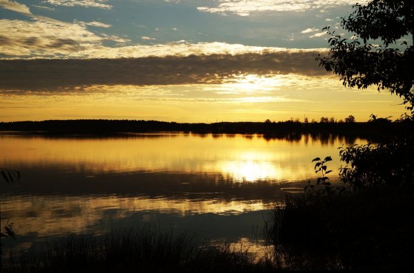 Оз Сенеж Солнечногорск