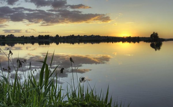 Озеро Сенеж Подмосковье