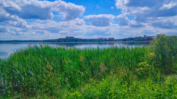 Сенежское озеро Московская область