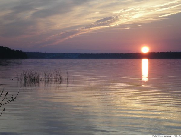 Сенеж водохранилище