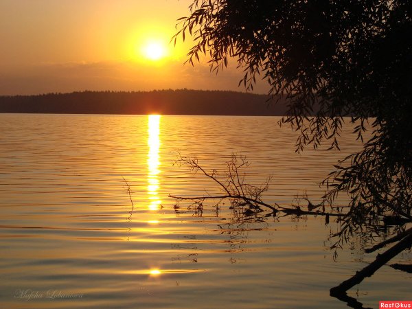 Озеро Сенеж