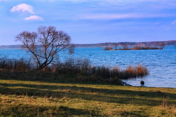 Солнечногорск озеро Сенеж осенью