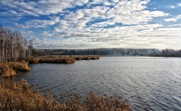 Озеро Сенеж Подмосковье