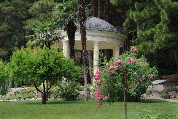 Ботанический сад Айвазовского в Крыму