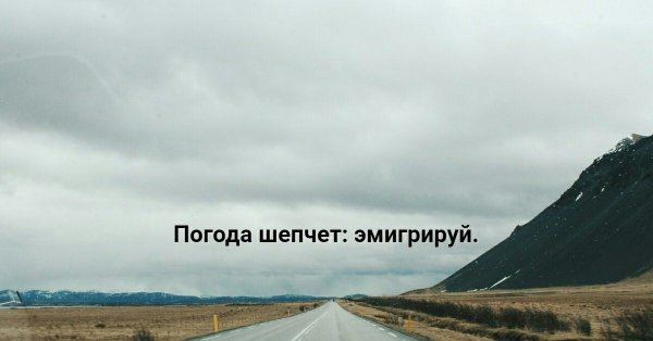 Погода так и шепчет Эмигрируй