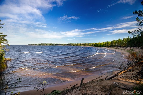Берег Онежского озера, Карелия