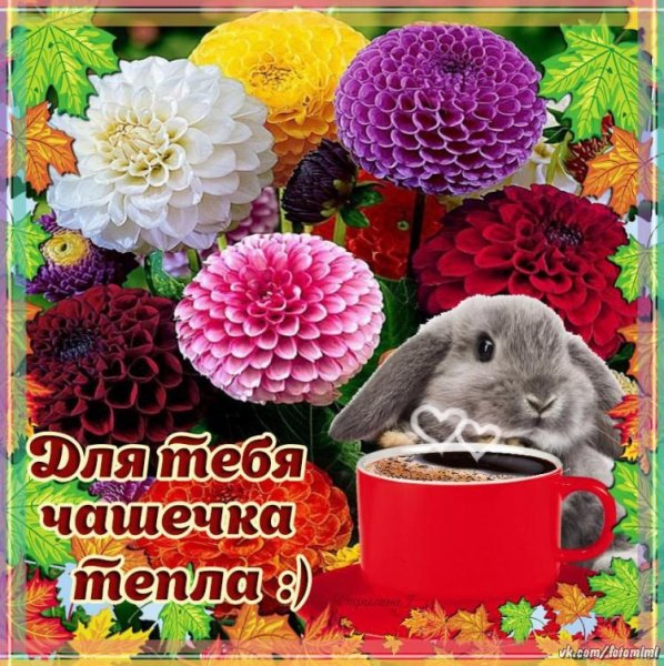 Открытки чашечка тепла для тебя
