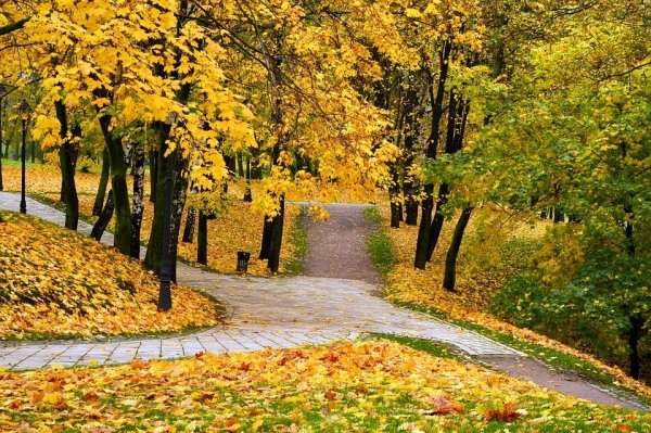 Парк осенью