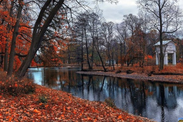 Осень в парке