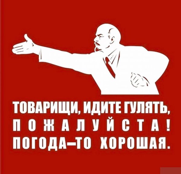 Товарищи идите гулять