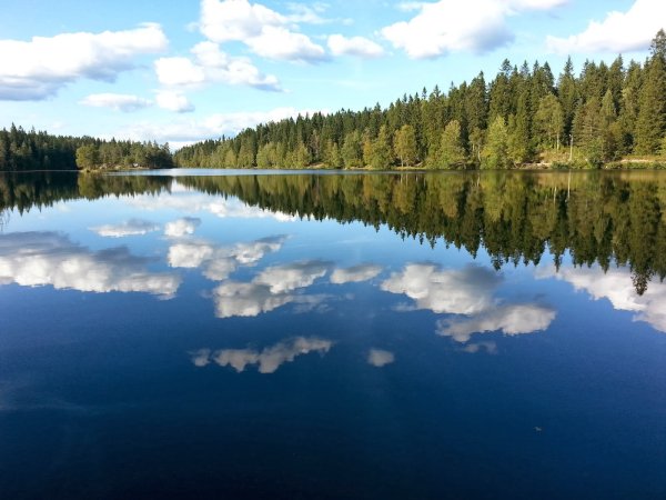 Озеро зеркальное Ленинградская
