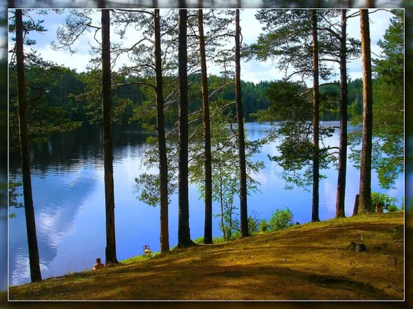 Зеркальное озеро СПБ