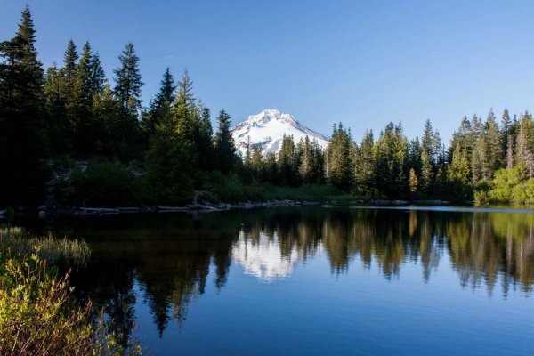 Озеро зеркальное Алтайский край Шипуновский