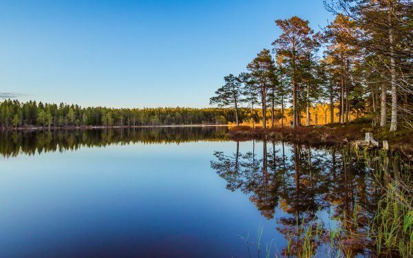 Отражение в воде картинки
