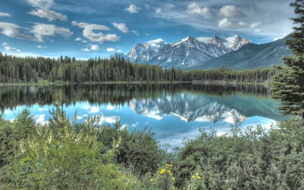 Зеркальная гладь озера