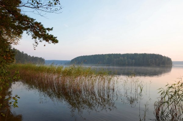 Озеро зеркальное Ленинградская область