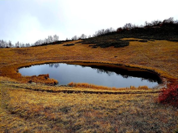 Зеркальное озеро Омск
