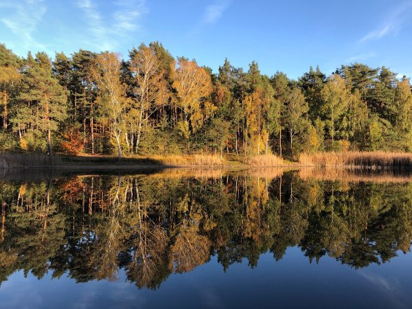 Зеркало озера