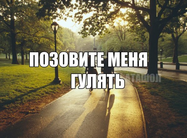 Картинка с надписью прогулка
