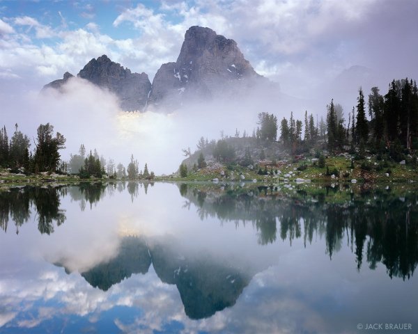Зеркальная симметрия в природе