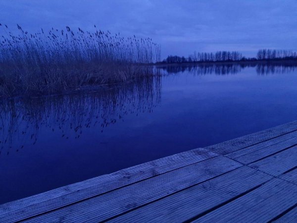 Зеркальное отражение озера