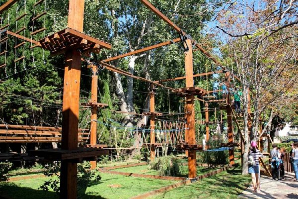 Березинский заповедник веревочный городок